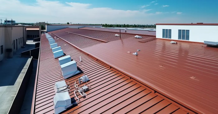 Expert Industrial Roofing Solutions