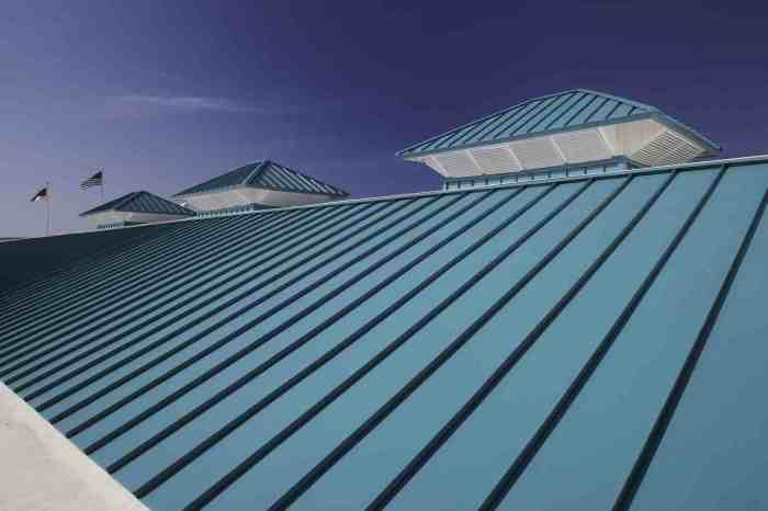 Types of Commercial Roofing Systems - ECO Roofing Contractors Chicago ...