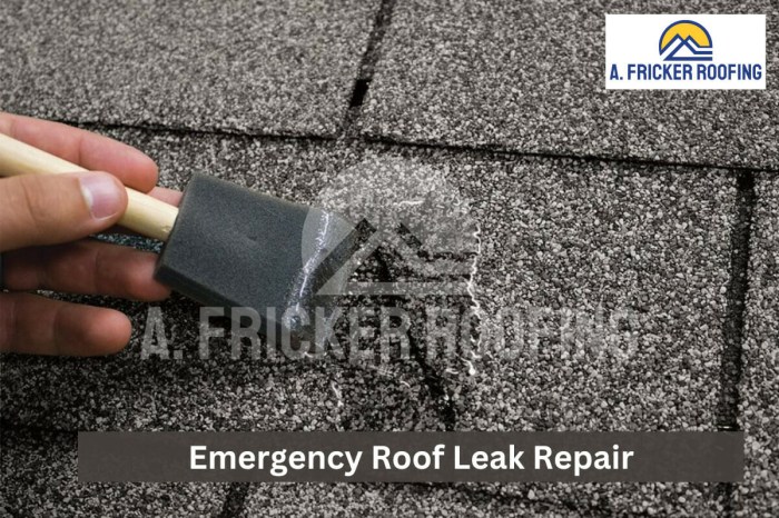 DIY Emergency Roof Leak Repair: What You Can Do Until the Pros Arrive